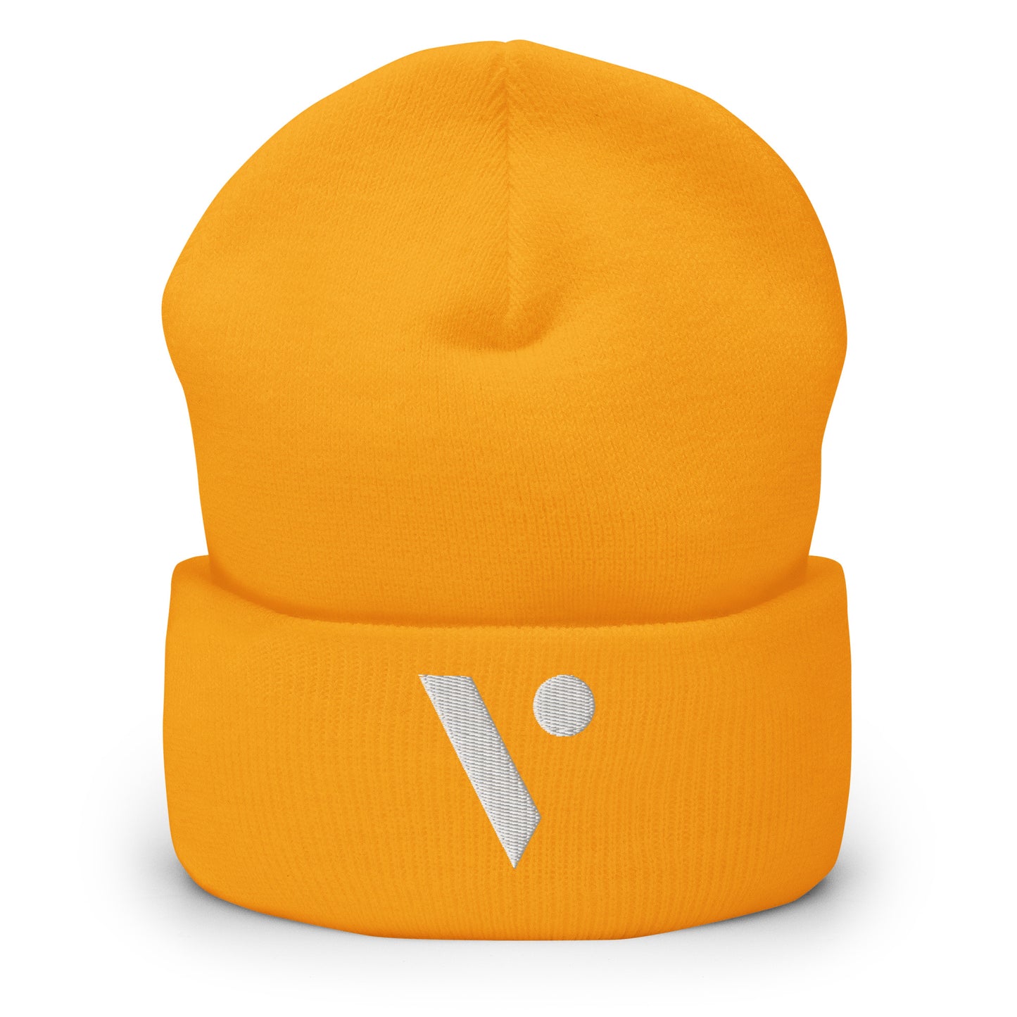 V Logo Embroidered Beanie