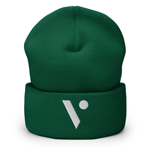 V Logo Embroidered Beanie
